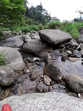 zanh99 online show from 04-24-26, 05:43