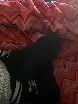 DAPHNE  00 online show from 03-07-26, 09:17