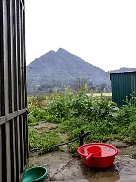 phay79 online show from 03-10-26, 12:04