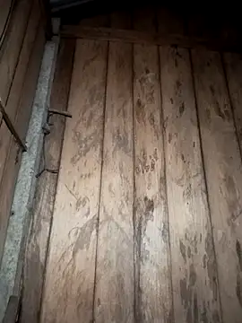 Mizu-hotshow online show from 03-29-26, 10:32