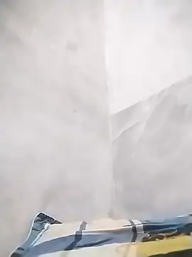 traiwe06 online show from 04-20-26, 09:12