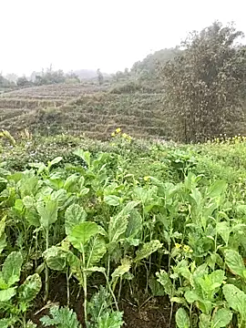 Annhiene online show from 03-11-26, 03:23