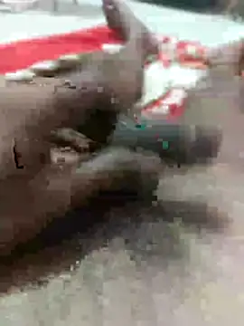 raja 418142 online show from 03-19-26, 10:08