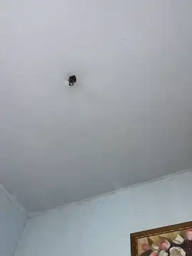 BigBig024 online show from 03-08-26, 05:17