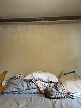 Secret Ladyx online show from 06-08-26, 11:21