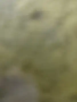 clayto77 online show from 03-06-26, 12:07