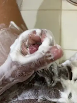 Chotiluli4 online show from 04-12-26, 08:52