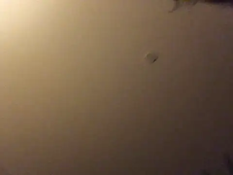 Bigboadick online show from 06-15-26, 08:55