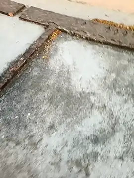 Desii rockstarr online show from 03-11-26, 01:11