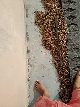 Desii rockstarr online show from 03-14-26, 02:50