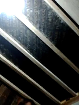 YAONIKUTE online show from 04-25-26, 10:18