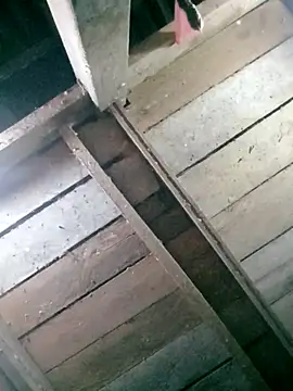 hasaki001 online show from 04-13-26, 08:36