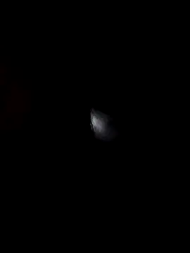 -Tiduta- online show from 03-26-26, 08:25