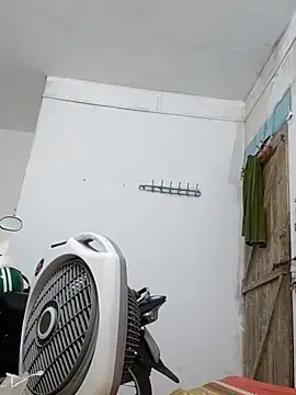 cactoto online show from 05-04-26, 04:47