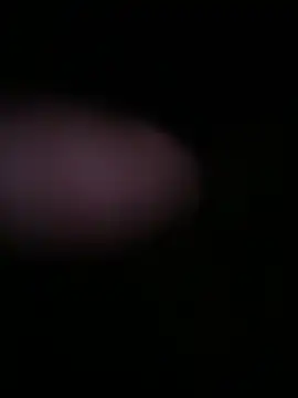 Snapshot of globalfucker34 chatting on 03-22-26, 08:34 globalfucker34 online show from 03-22-26, 08:34