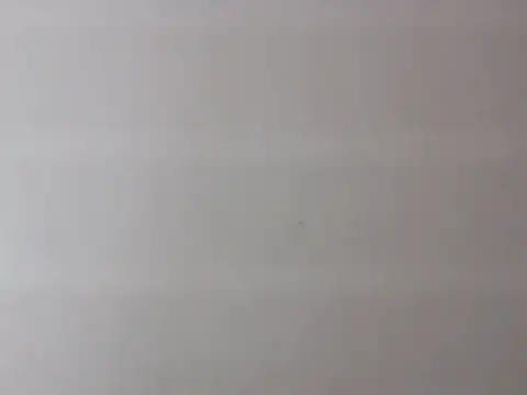 Zurii  online show from 04-12-26, 07:52