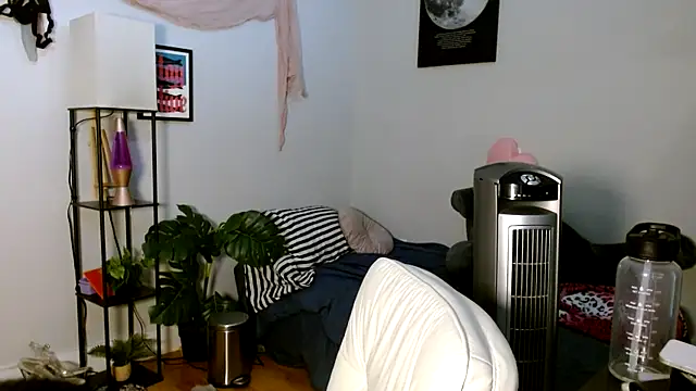 solifaye online show from 04-05-26, 03:20