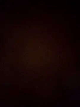 Snapshot of VENUSH_STYLO chatting on 03-31-26, 04:40 VENUSH STYLO online show from 03-31-26, 04:40