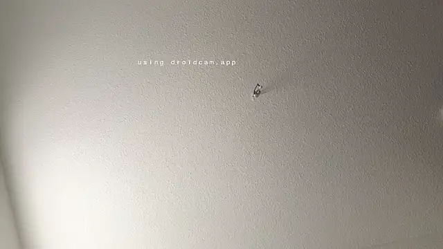 Snapshot of JasonXPascal chatting on 04-06-26, 11:22 JasonXPascal online show from 04-06-26, 11:22