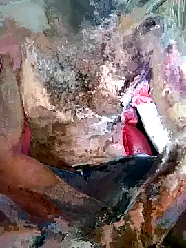 Snapshot of SteedyGee chatting on 03-27-26, 09:32 SteedyGee online show from 03-27-26, 09:32