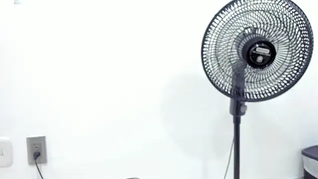 noah chips  online show from 04-07-26, 05:30