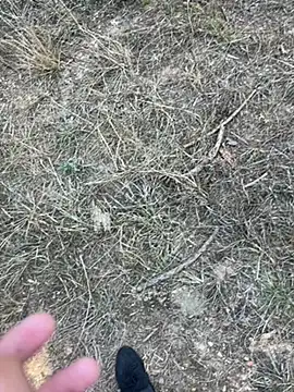 yingzi003 online show from 04-07-26, 07:42