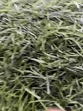 X-boy-11 online show from 04-16-26, 08:59