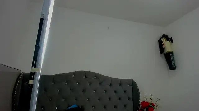 Snapshot of evelott_allenx chatting on 05-15-26, 11:56 evelott allenx online show from 05-15-26, 11:56