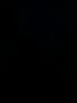 Snapshot of segbemal chatting on 04-24-26, 11:29 segbemal online show from 04-24-26, 11:29