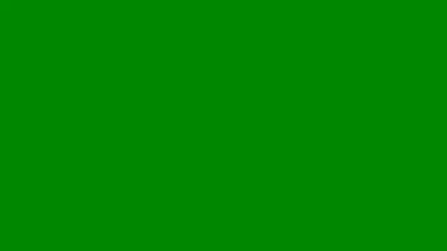 AshleyFerreer online show from 05-14-26, 09:43