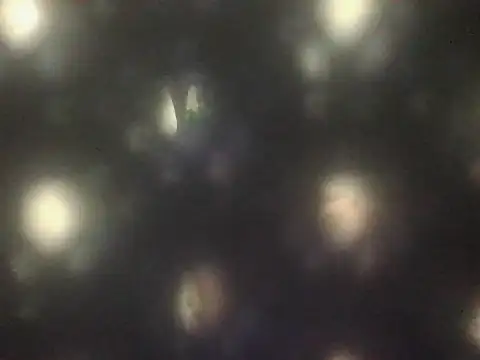 HaqqurSerpian online show from 07-21-26, 11:18