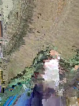 dickforpussyy online show from 04-16-26, 05:52