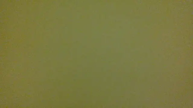 average jack online show from 04-16-26, 11:29