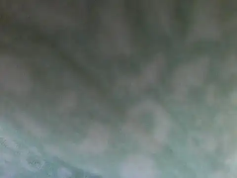 Short-V online show from 04-17-26, 08:12