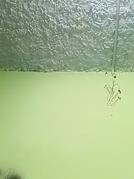 Micaejj online show from 04-21-26, 08:34