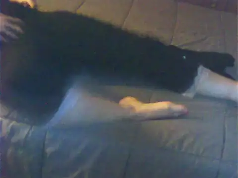 Cuginetti online show from 04-27-26, 08:07