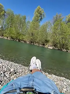 Wolf 18cm online show from 04-25-26, 02:25