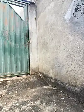 Eu line online show from 04-27-26, 11:30