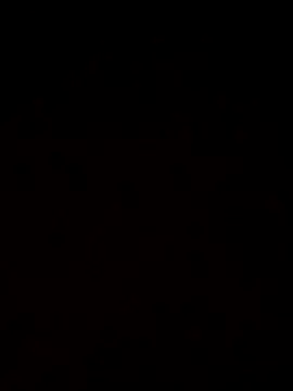 Snapshot of Satiritaxxx chatting on 05-25-26, 06:58 Satiritaxxx online show from 05-25-26, 06:58