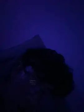 OoRobertooo online show from 05-01-26, 03:55