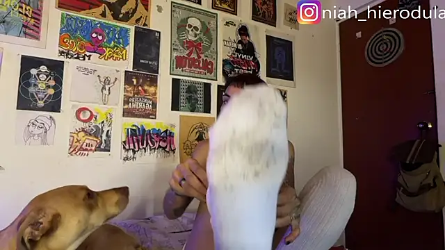 niah 11 online show from 07-15-26, 03:50