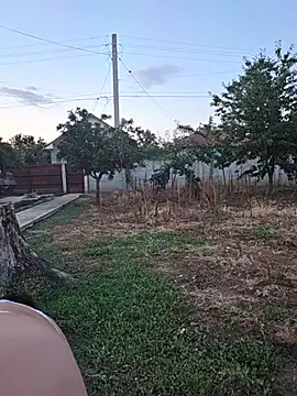 Diana Diafan online show from 07-25-26, 05:54