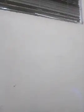 Badflacocachondo online show from 06-17-26, 07:00