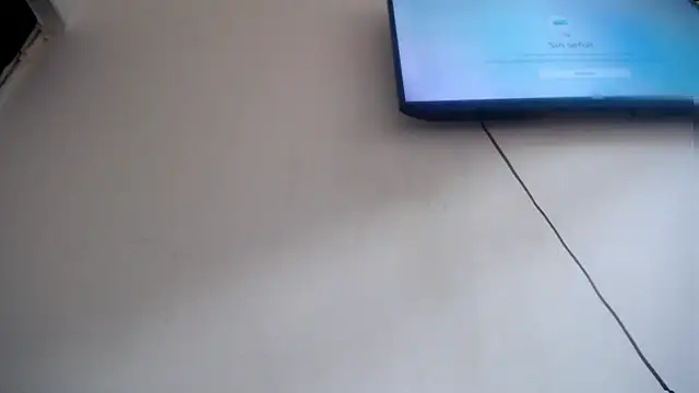 Fox Loves online show from 07-19-26, 08:23