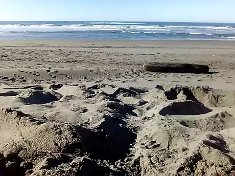 dog-naked online show from 01-22-25, 10:26