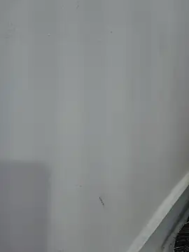 Nimmy 0 online show from 06-08-26, 07:47