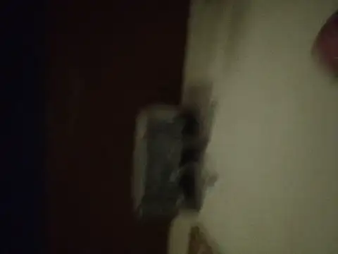 ogogooo online show from 07-26-26, 02:53