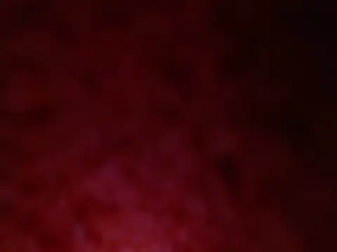 curvy 12 online show from 07-29-26, 11:08