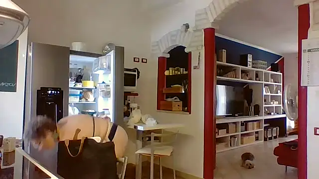 Zanetta online show from 07-18-26, 11:14
