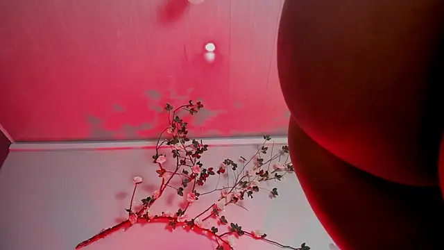 Britney turner   online show from 07-24-26, 12:47